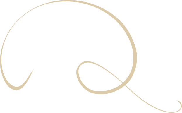 embellishment-1-back