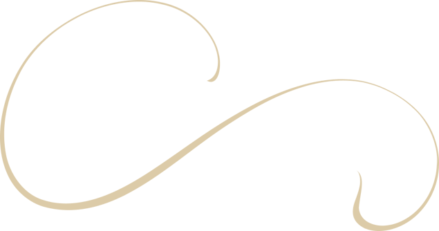 embellishment-2-back