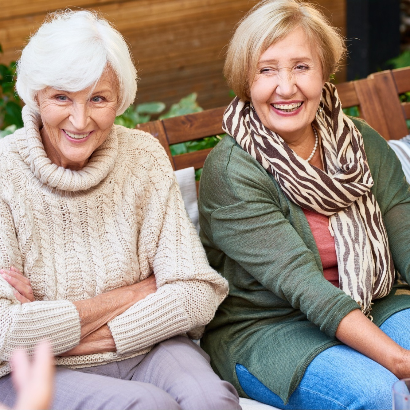 Calligraphy Collection (1)